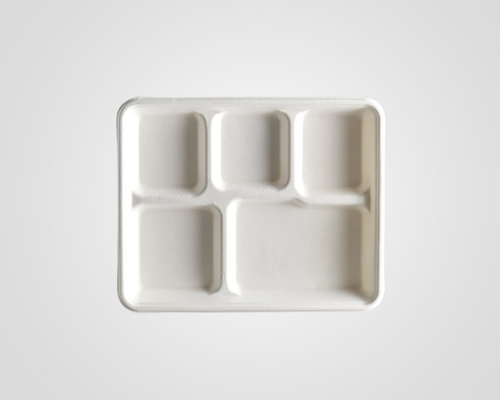 bagasse meals tray